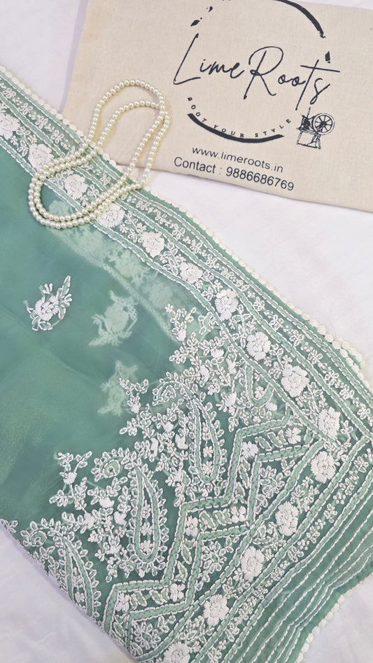 Green organza saree with Chikankari embroidery