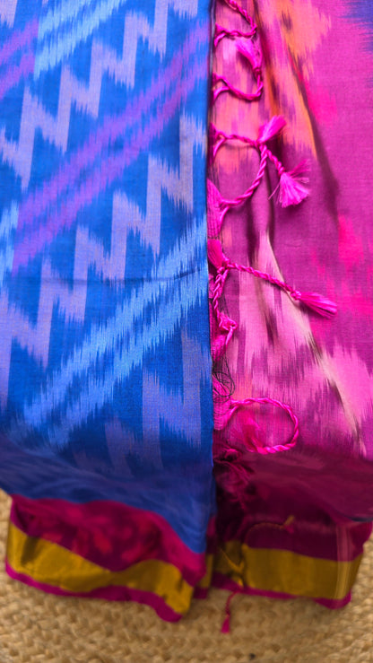 Rani | Blue Pochampally Pure Silk cotton Saree