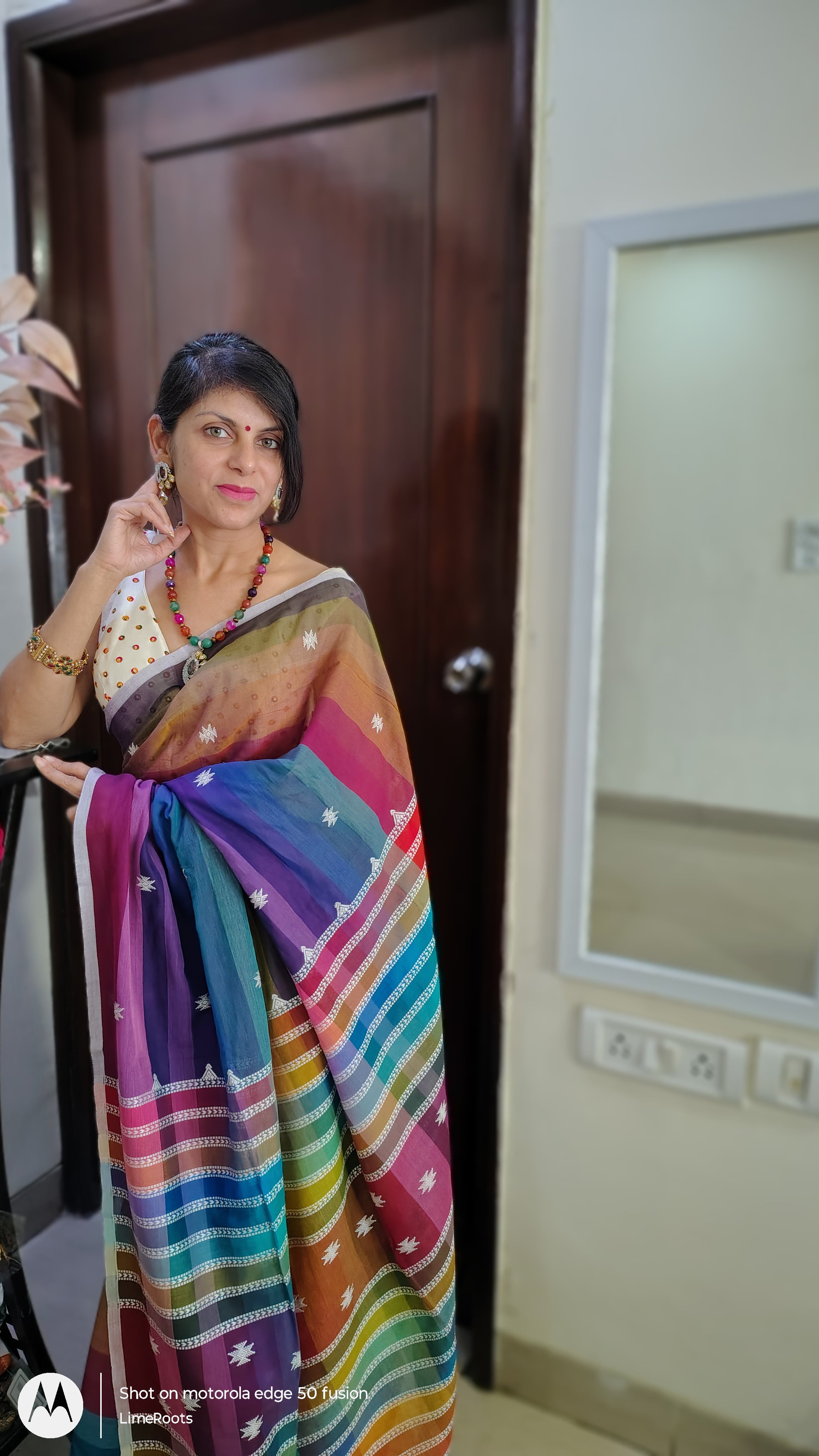 BHUJODI WEAVES - Multicolor Bhujodi Weaves | Handwoven Pure Cotton Sarees from Kutch - Limeroots